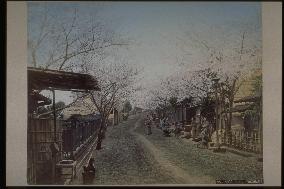 Nogeyama Hill,Yokohama