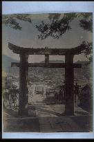 Torii,Suwa Shrine