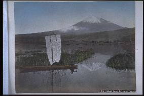 Mt. Fuji seen from Numakawa,Tagonoura