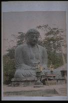 Daibutsu (the Great Buddha) of Kamakura