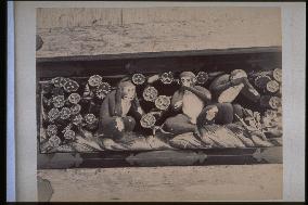 The carving of the three wise monkeys,Toshogu Shrine,Nikko