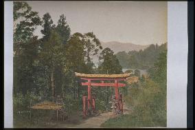 The torii gate on the approach to Hakone Shrine