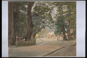 The precincts of Ise Grand Shrine