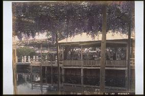 A teahouse with a wisteria trellis