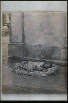 A boy sleeping on a straw mat