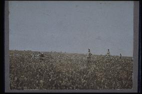 Soldiers undergoing drills in a field