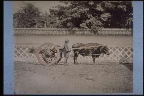 An ox cart