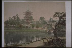 Sarusawa Pond and the five-story pagoda