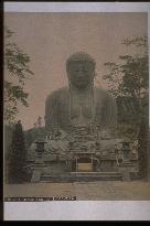 Daibutsu (the Great Buddha) of Kamakura