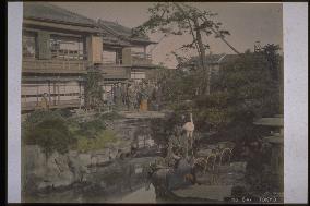 A garden in Tokyo