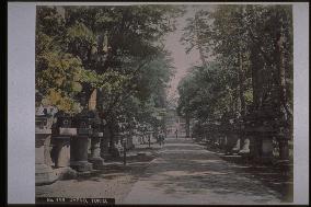 The approach to Toshogu Shrine,Ueno