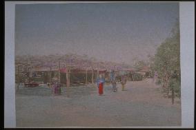 A teahouse with a wisteria trellis