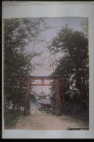 A torii gate at Hachimangu Shrine,Mt. Tamuke