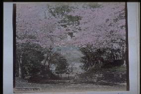 Ueno Park