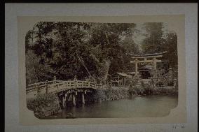 A pond and a torii (gate)