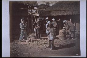 A scene of threshing