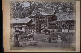 Suwa Shrine