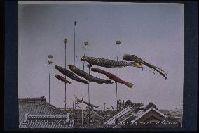 Carp streamers