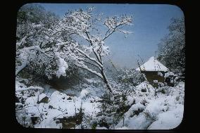 A snowscape in Hakone