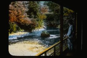 Autumn tints of Takinogawa, Oji