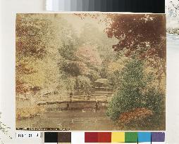 Autumn tints of Takinogawa, Oji