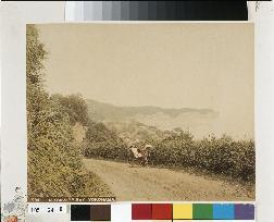 Honmoku Point seen from the Fudozaka slope