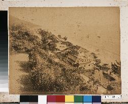 Malus Halliana and A House by a Beach