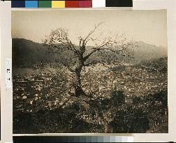 Distant View of Nagasaki City from Mt. Kazagashira