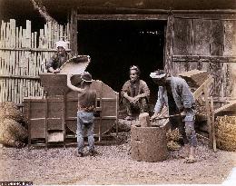 A scene of threshing