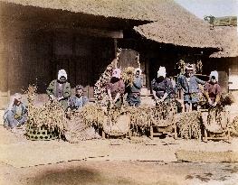 A scene of threshing