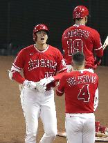 Baseball: Rangers vs. Angels