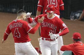 Baseball: Rangers vs. Angels