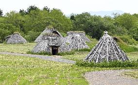 Jomon Era villages in Japan likely to be added to World Heritage list