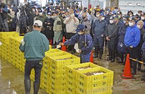 Squid season starts in northern Japan