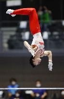 Gymnastics: Japanese apparatus c'ships, final Olympic qualifier
