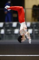 Gymnastics: Uchimura books ticket to Tokyo Olympics