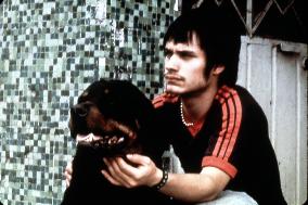 AMORES PERROS