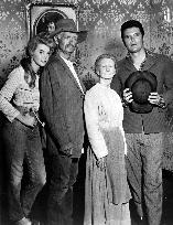 THE BEVERLY HILLBILLIES