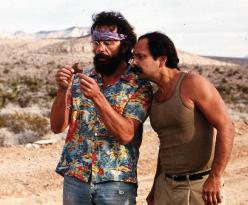 CHEECH AND CHONG'S NICE DREAMS