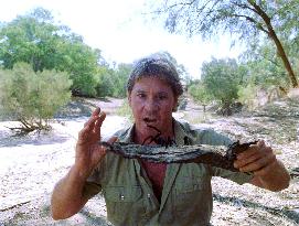 THE CROCODILE HUNTER: COLLISION COURSE STEVE IRWIN sees eye-