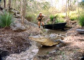 THE CROCODILE HUNTER: COLLISION COURSE STEVE IRWIN prepares