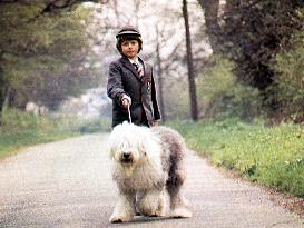 DIGBY THE BIGGEST DOG IN THE WORLD