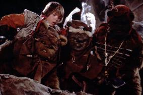 THE EWOK ADVENTURE