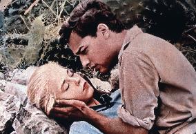 EXODUS (US1960) JILL HAWORTH, SAL MINEO