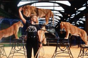 ROSELYNE ET LES LIONS