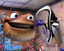 FINDING NEMO