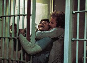 THE GLASSHOUSE US 1972]