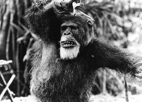 GREYSTOKE, THE LEGEND OF TARZAN LORD OF THE APES