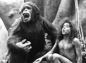 GREYSTOKE: THE LEGEND OF TARZAN, LORD OF THE APES