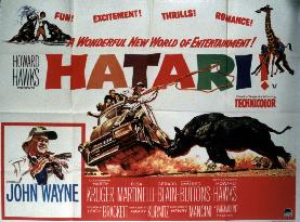 HATARI